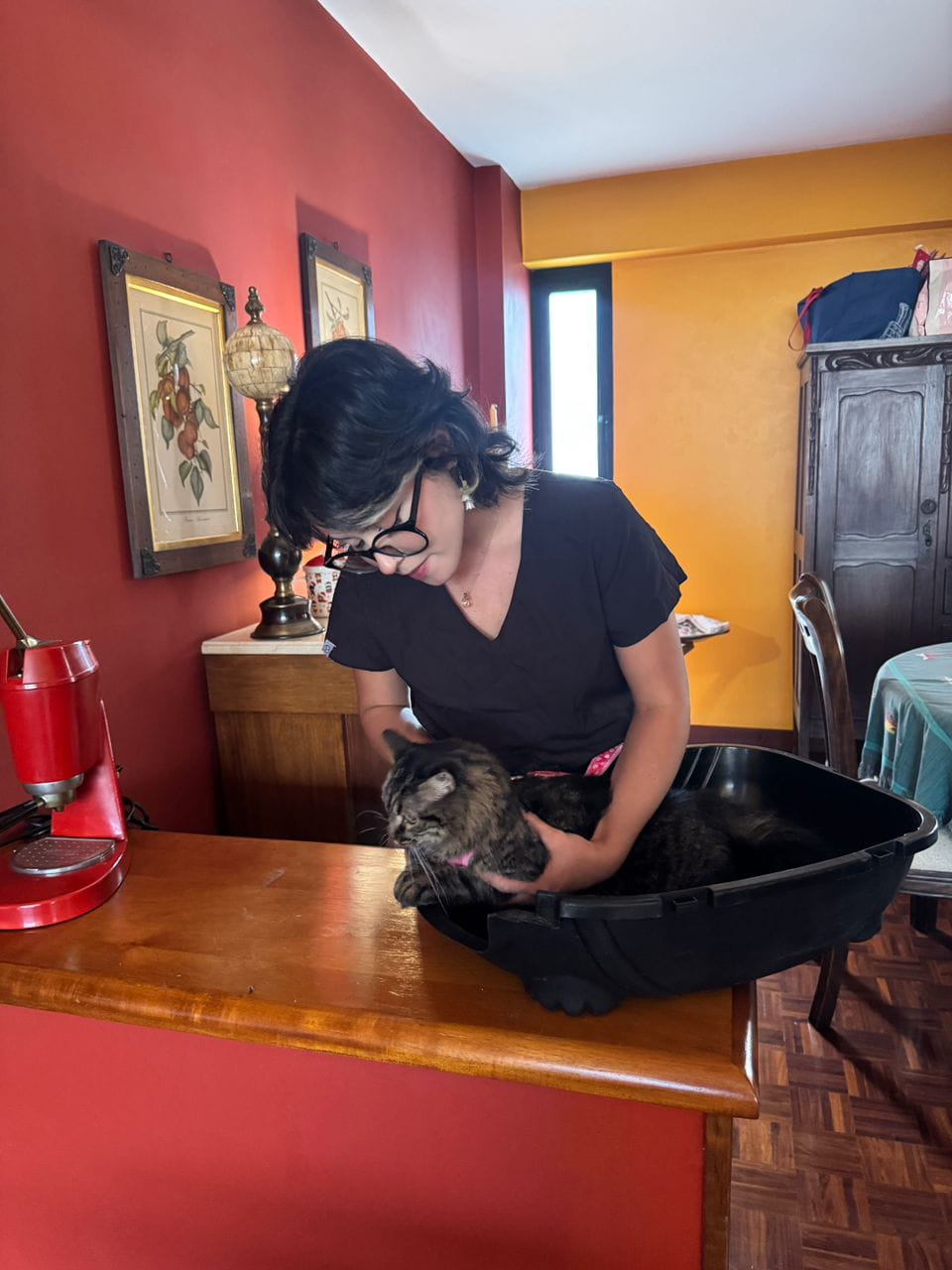 Historia de éxito 1 - Mascota recuperada en CAPOVET