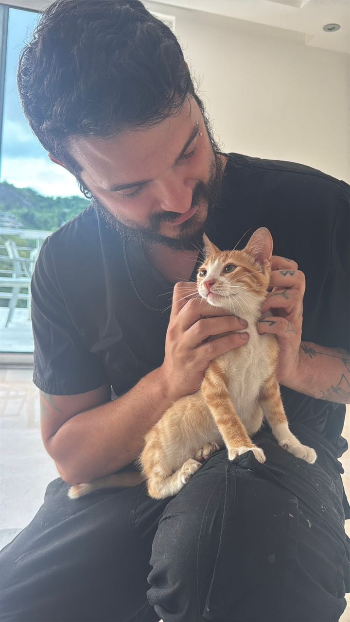 Historia de éxito 4 - Mascota recuperada en CAPOVET