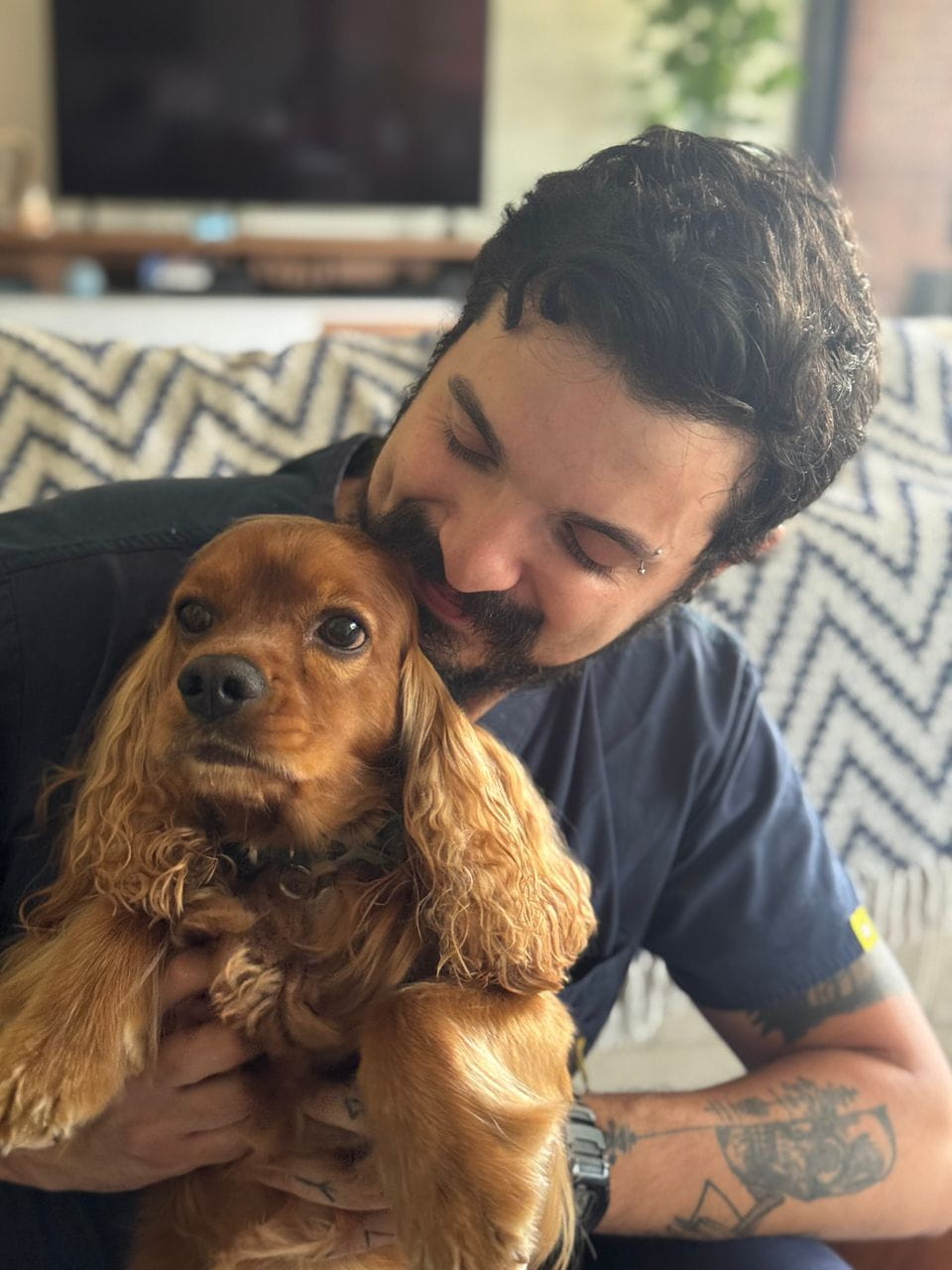 Historia de éxito 6 - Mascota recuperada en CAPOVET