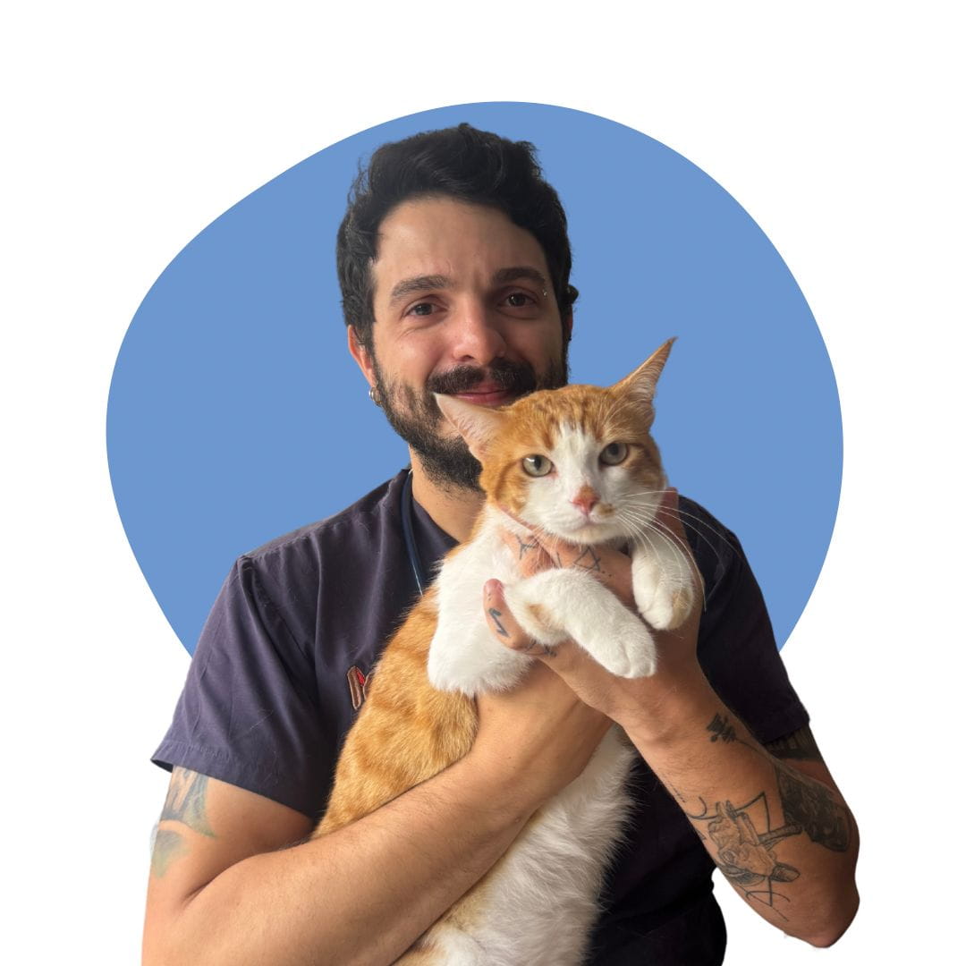 Dr. Santiago Capobianco - Médico Veterinario